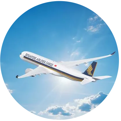 Singapore Airlines