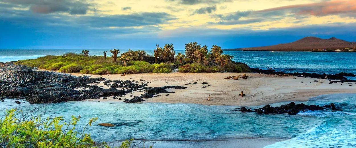 galapagos-islands-ecuador